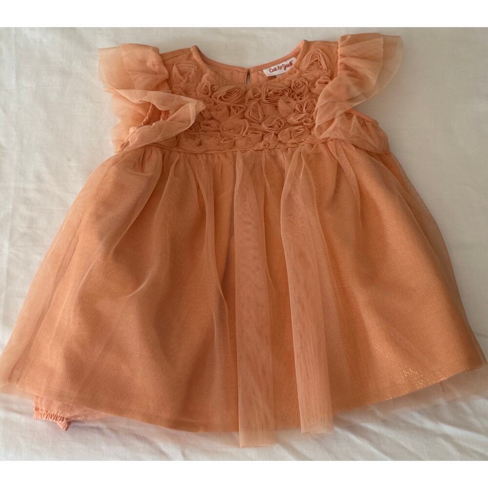 Girls Baby Cat & Jack Orange Sherbet Dress Shinny Tule Overlay 12 Months Roses